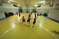 Basket 443109